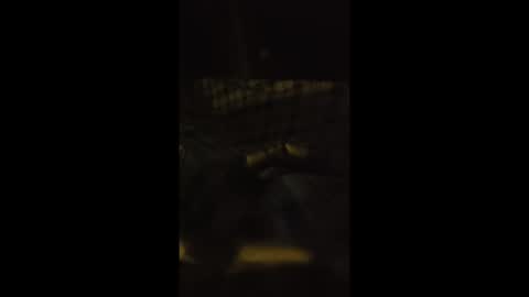 Snapshot of lspd359 chatting on 13, 4, 2026 lspd359 online show from 13, 4, 2026