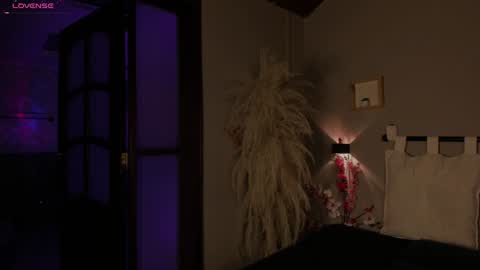  ---Goys incredible photographs online show from 28, 12, 2024