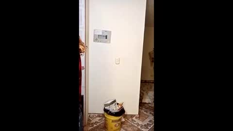 Snapshot of luana363 chatting on 11, 1, 2026 luana363 online show from 11, 1, 2026