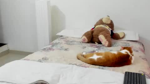 luara__01__lecat_1 online show from 8, 2, 2026