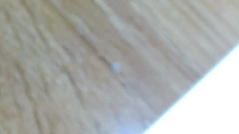 Lucie   online show from 13, 12, 2024