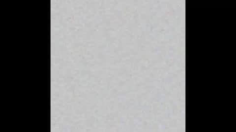 Alisa online show from 8, 11, 2025