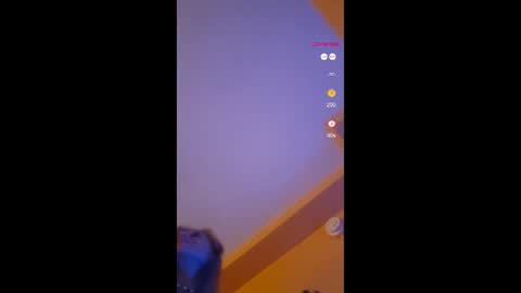 Snapshot of lucyvybes_and_gogert chatting on 18, 11, 2025 Lucy Vybes and Go-Gert online show from 18, 11, 2025