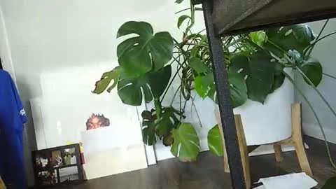 Snapshot of lukesky222 chatting on 15, 3, 2026 Luke online show from 15, 3, 2026