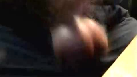 lukestarfckr online show from 17, 10, 2025