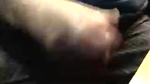 lukestarfckr online show from 23, 11, 2025