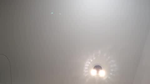 Ludo online show from 21, 1, 2025