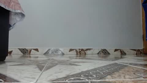 Snapshot of luna_bluebery chatting on 14, 12, 2025 Luna--Blueberry online show from 14, 12, 2025