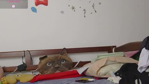 LUNA online show from 12, 11, 2025