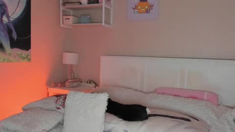 Sofia online show from 24, 12, 2024