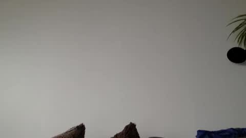 Snapshot of lupine_666 chatting on 6, 3, 2026 Lupine online show from 6, 3, 2026