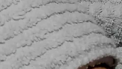 lustgardener67 online show from 3, 2, 2025