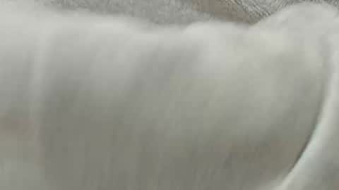 lustgardener67 online show from 8, 11, 2025