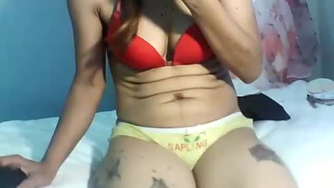 Bee Bee online show from 8, 11, 2025