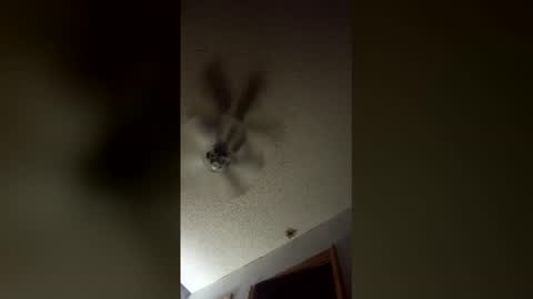 Snapshot of lvckthegoat chatting on 12, 3, 2026 lvckthegoat online show from 12, 3, 2026