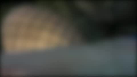 Lydia online show from 7, 1, 2026