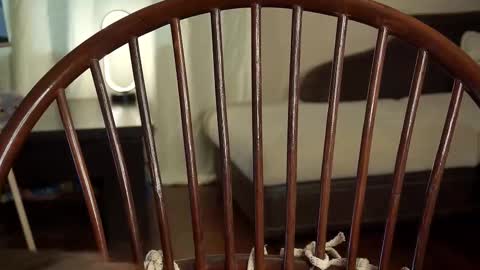 Snapshot of lyle_art chatting on 27, 2, 2025 hi im Lyle online show from 27, 2, 2025