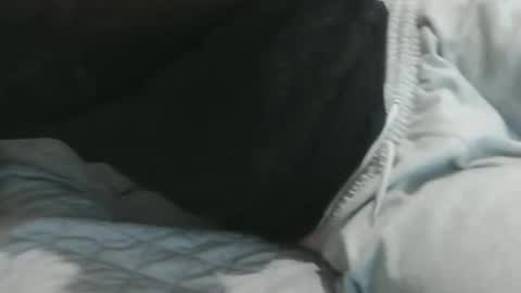 m4dh4tter24 online show from 6, 2, 2025