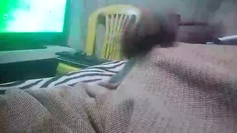 mad415264 online show from 24, 11, 2025