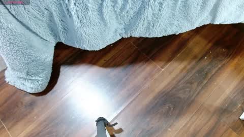 Snapshot of maddy_14 chatting on 28, 1, 2025 Maddy UwU online show from 28, 1, 2025