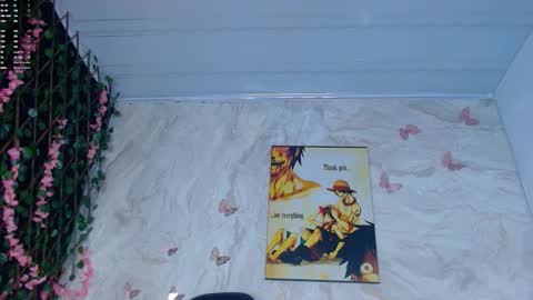 maicoljorda1 online show from 13, 11, 2025