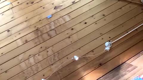 Snapshot of makeyousquirt1969 chatting on 27, 10, 2025 makeyousquirt1969 online show from 27, 10, 2025