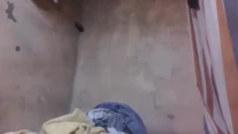 malalazah online show from 8, 3, 2026