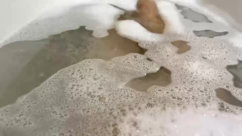 Snapshot of malekula1 chatting on 10, 11, 2025 Monad online show from 10, 11, 2025