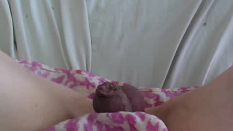 ..          .. online show from 22, 2, 2025