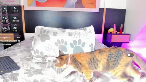 Manelyk Pindters online show from 9, 2, 2025