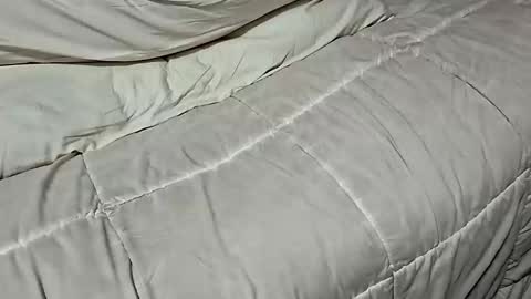 Dickinabox online show from 17, 11, 2025