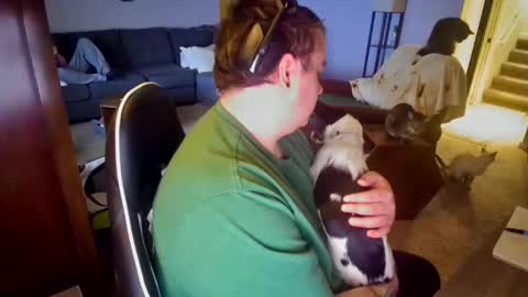 kyle online show from 4, 4, 2026