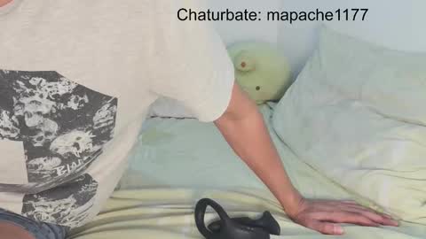 mapache1177 online show from 4, 3, 2026