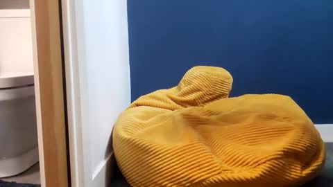 marcoandhoney online show from 14, 2, 2026