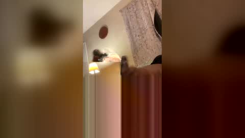 markesthomass online show from 5, 2, 2026