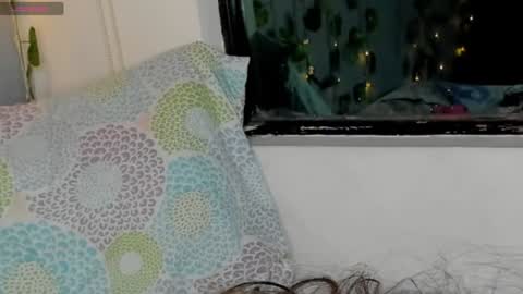 marly online show from 17, 1, 2025