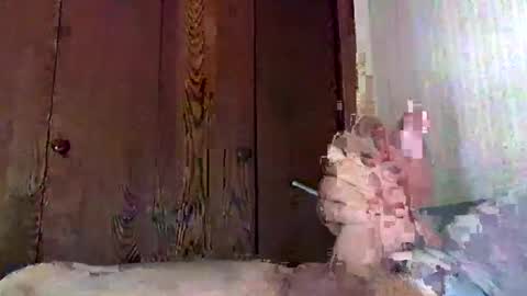 Snapshot of marmiles58 chatting on 20, 9, 2025 marmiles58 online show from 20, 9, 2025