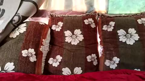 marocreda33 online show from 10, 2, 2025