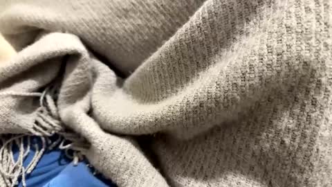 marriedthickdick37 online show from 12, 1, 2025