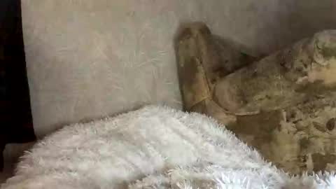 Snapshot of martaluna_ chatting on 27, 11, 2025 Marta online show from 27, 11, 2025