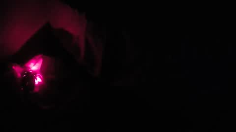 Snapshot of martamoontrans chatting on 8, 10, 2025 martamoontrans online show from 8, 10, 2025