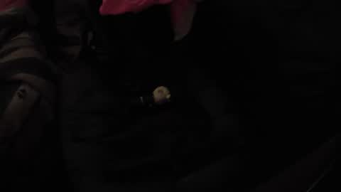 Snapshot of martamoontrans chatting on 17, 11, 2025 martamoontrans online show from 17, 11, 2025