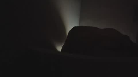 martamoontrans online show from 3, 2, 2026