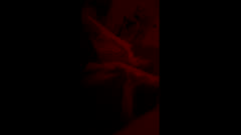 mas62491 online show from 19, 11, 2025