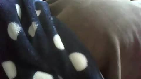 masan1986 online show from 4, 2, 2026