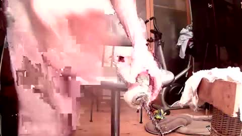 Snapshot of maschpro chatting on 24, 10, 2025 maschpro online show from 24, 10, 2025