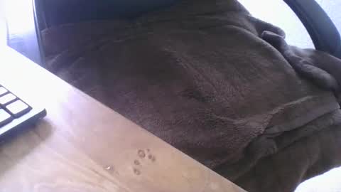 Snapshot of maskime59 chatting on 21, 2, 2026 maskime59 online show from 21, 2, 2026