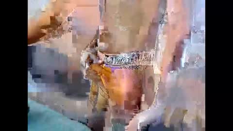 master_jale03 online show from 5, 2, 2026