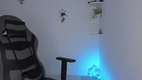 Alpha junior online show from 12, 1, 2026