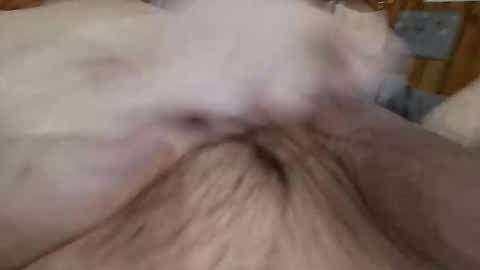 Snapshot of masturbator469658 chatting on 7, 11, 2025 masturbator469658 online show from 7, 11, 2025